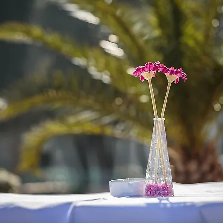 Guest house Navetta 4*